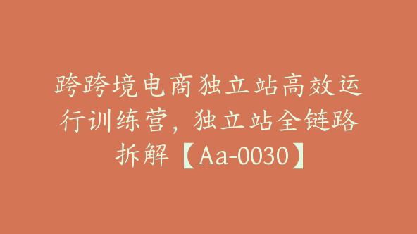 跨跨境电商独立站高效运行训练营，独立站全链路拆解【Aa-0030】