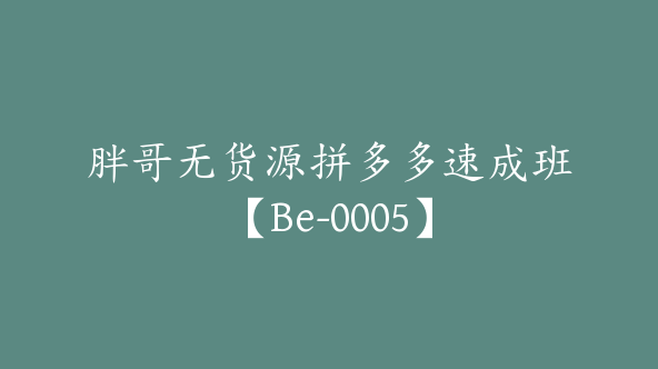 胖哥无货源拼多多速成班【Be-0005】