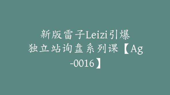 新版雷子Leizi引爆独立站询盘系列课【Ag-0016】