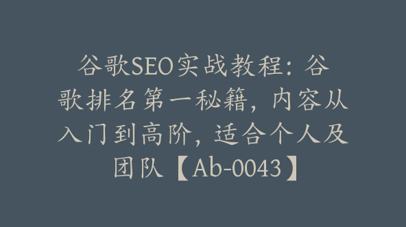 谷歌SEO实战教程：谷歌排名第一秘籍，内容从入门到高阶，适合个人及团队【Ab-0043】