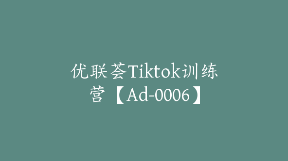 优联荟Tiktok训练营【Ad-0006】