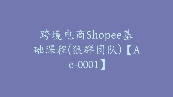 跨境电商Shopee基础课程(狼群团队)【Ae-0001】