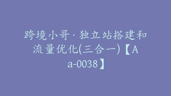 跨境小哥·独立站搭建和流量优化(三合一)【Aa-0038】