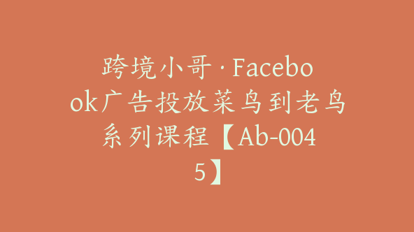 跨境小哥·Facebook广告投放菜鸟到老鸟系列课程【Ab-0045】