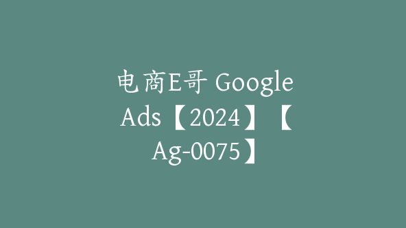 电商E哥 Google Ads【2024】【Ag-0075】