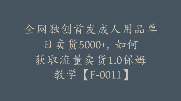 全网独创首发成人用品单日卖货5000+，如何获取流量卖货1.0保姆教学【F-0011】