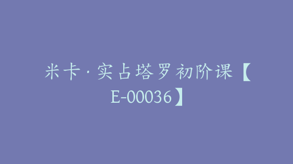 米卡·实占塔罗初阶课【E-00036】