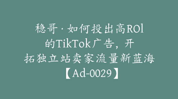 稳哥·如何投出高ROl的TikTok广告，开拓独立站卖家流量新蓝海【Ad-0029】