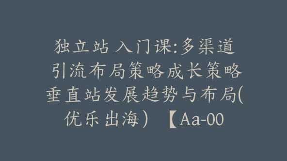 独立站 入门课:多渠道 引流布局策略成长策略垂直站发展趋势与布局(优乐出海）【Aa-0045】