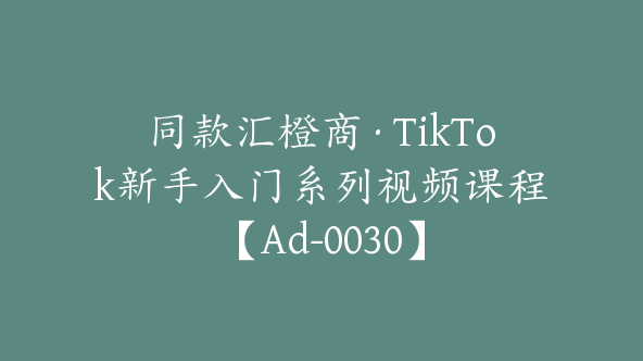 同款汇橙商·TikTok新手入门系列视频课程【Ad-0030】