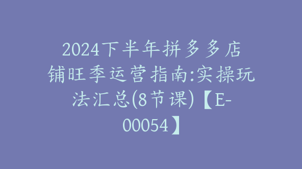 2024下半年拼多多店铺旺季运营指南:实操玩法汇总(8节课)【E-00054】