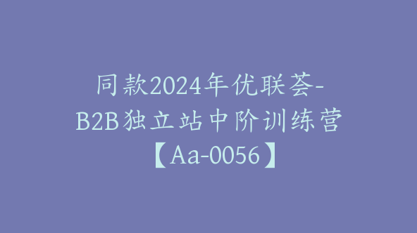 同款2024年优联荟-B2B独立站中阶训练营【Aa-0056】