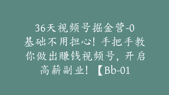 36天视频号掘金营-0基础不用担心！手把手教你做出赚钱视频号，开启高薪副业！【Bb-0130】