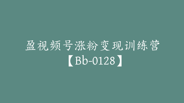 盈视频号涨粉变现训练营【Bb-0128】
