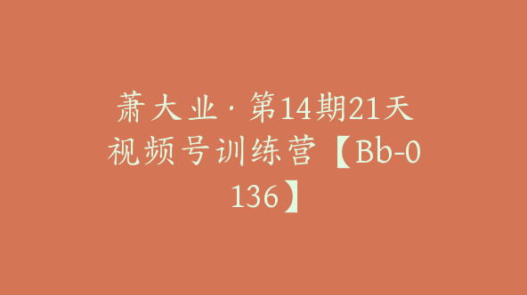 萧大业·第14期21天视频号训练营【Bb-0136】