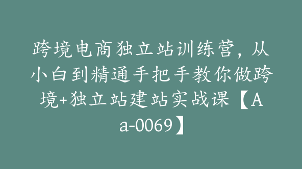 跨境电商独立站训练营，从小白到精通手把手教你做跨境+独立站建站实战课【Aa-0069】
