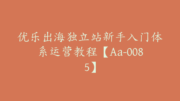 优乐出海独立站新手入门体系运营教程【Aa-0085】