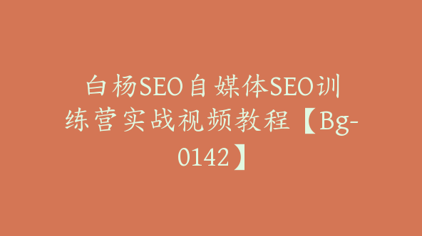 白杨SEO自媒体SEO训练营实战视频教程【Bg-0142】