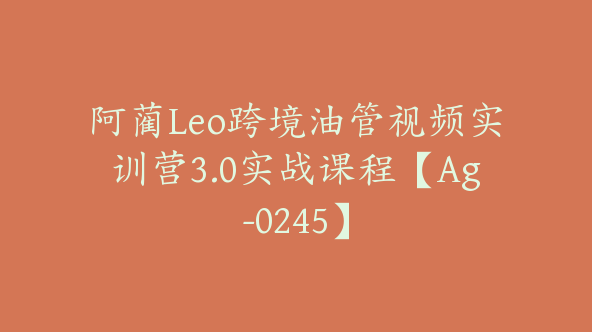阿蔺Leo跨境油管视频实训营3.0实战课程【Ag-0245】